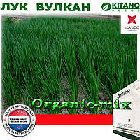 Насіння, Лук на зелень (на перо) Вулкан, ТМ Kitano Seeds, 100 грамів (проф. пакет)