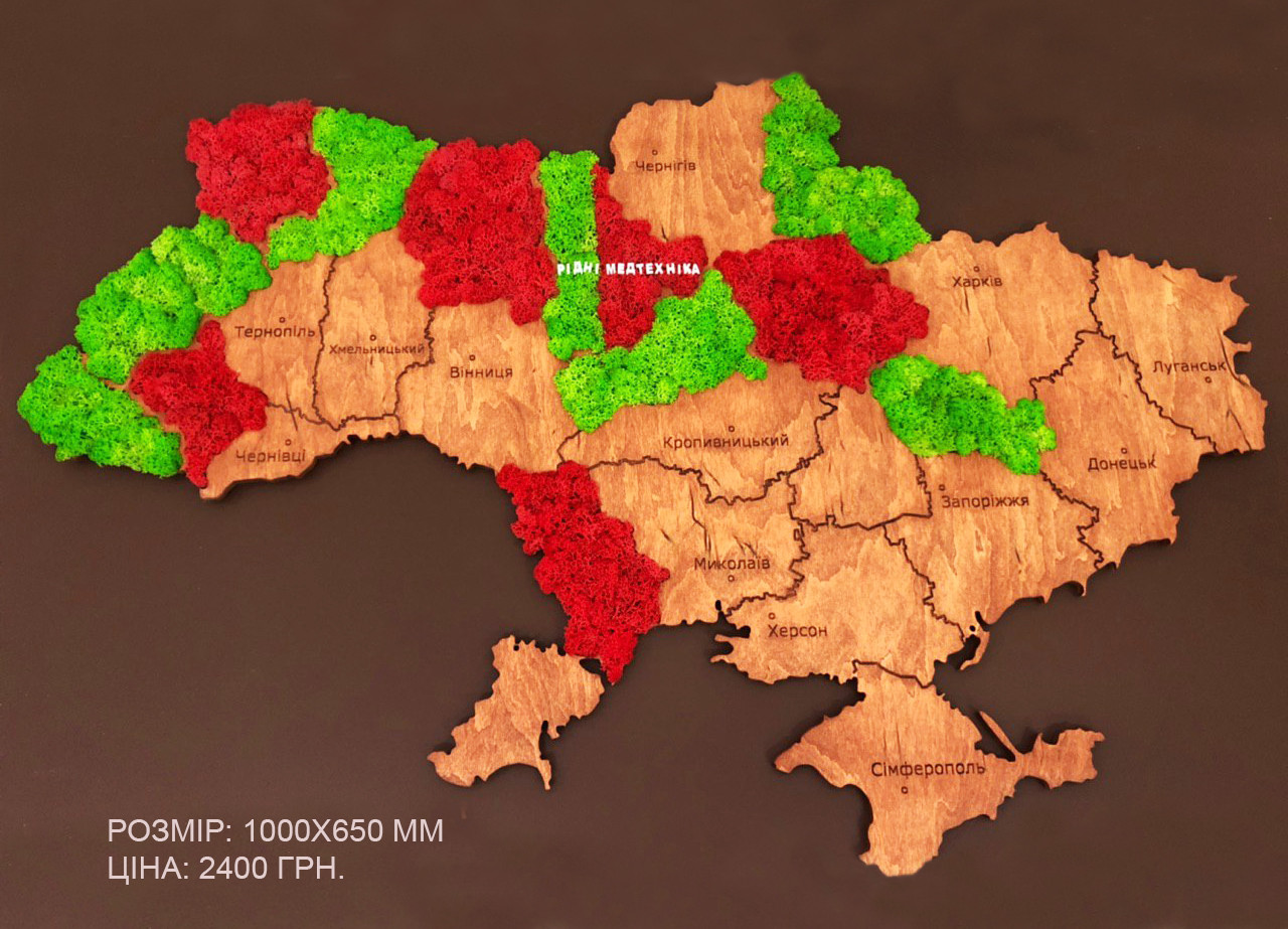 Карта України на стіну з фанери і моху