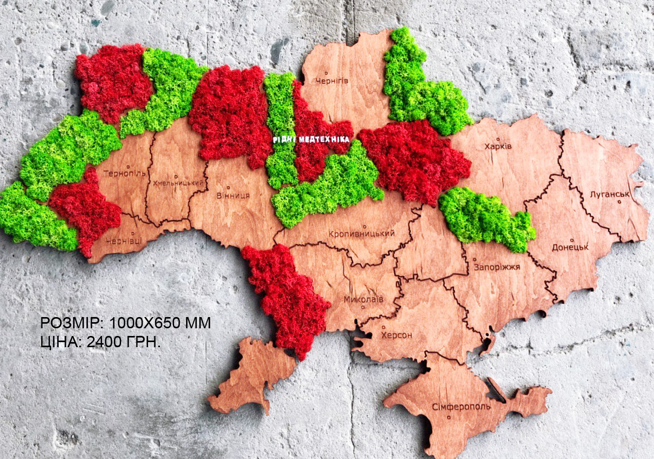 Мапа України на стіну з фанери та моху