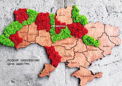 Мапа України на стіну з фанери та моху