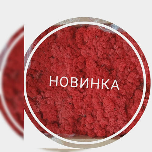 Новий колір моху