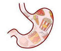 Здоровий шлунок і кишечник