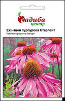 Насіння ехінацея пурпурове Старлайт