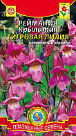 Насіння Рейманія крилате ТИГРОВА ЛІЛІЯ