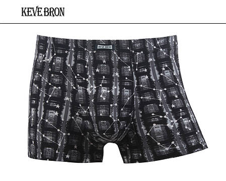 Чоловічі труси-боксери KEVEBRON (XL-4XL) Арт.KV09004, фото 1