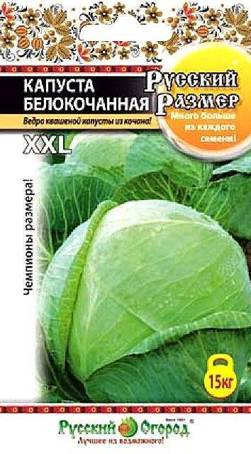 Насіння капусти білочана Російський розмір