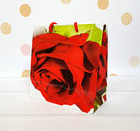 Подарочный пакет ЧАШКА 16х16х7,5 см Красная роза