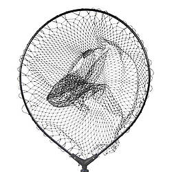 Голова підсака GC OV504070L 7x8мм (119046) 6633002