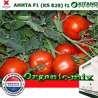 Насіння, томат АНІТА F1 (KS 829), 1000 насіння, великоплідний, ТМ Kitano Seeds