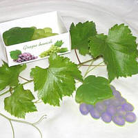 Подарочное мыло ручной работы "Гроздь винограда " 