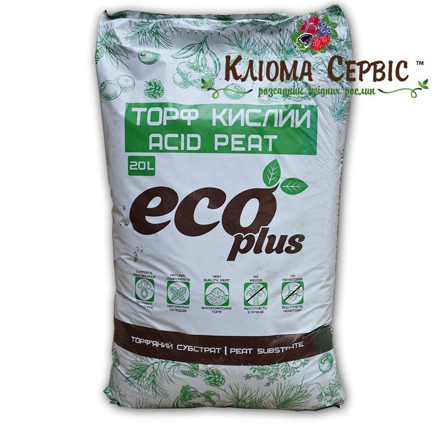 Рекомендації для успішного вирощування