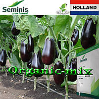 Баклажан Епік F1, ТМ SEMINIS (Нідерланди), 1000 насінин