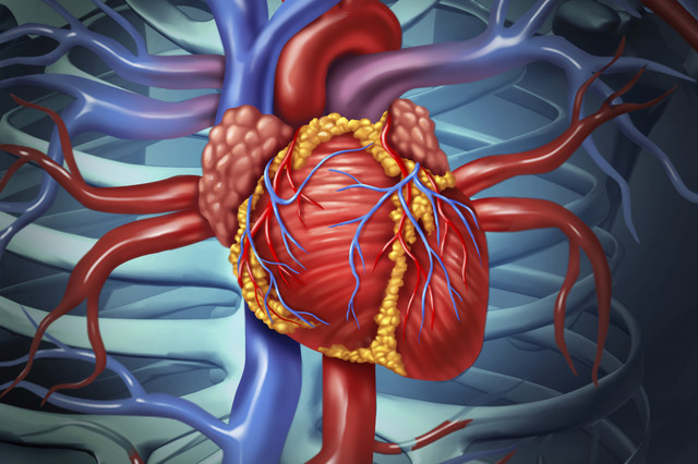 краплі для здоров'я серцево-судинної системи