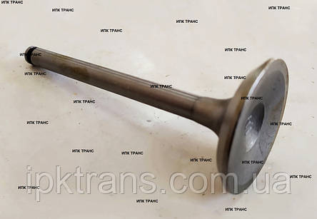 Клапан випускного двигуна Mitsubishi 4G33 MD075924, фото 3