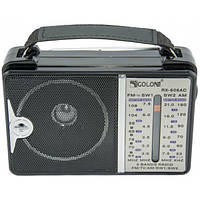 Рдиоприемник Golon аккумуляторный FM радио колонка с фонариком и USB выходом Чёрный (RX-606)