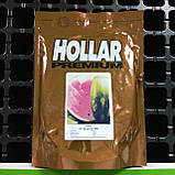 Насіння кавуна Ау Продюсер, 5 кг (Hollar Seeds), фото 3