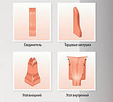 Плінтус Теко Класик 48х19 2,5 м бук лісовий, фото 4