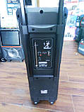 Колонка з акумулятором ZXX-9292 / 2x10"/ 2x125W/ 2 радіомікрофони / TMG ORIGINAL, фото 4