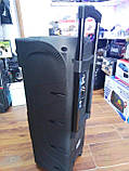 Колонка з акумулятором ZXX-9292 / 2x10"/ 2x125W/ 2 радіомікрофони / TMG ORIGINAL, фото 5