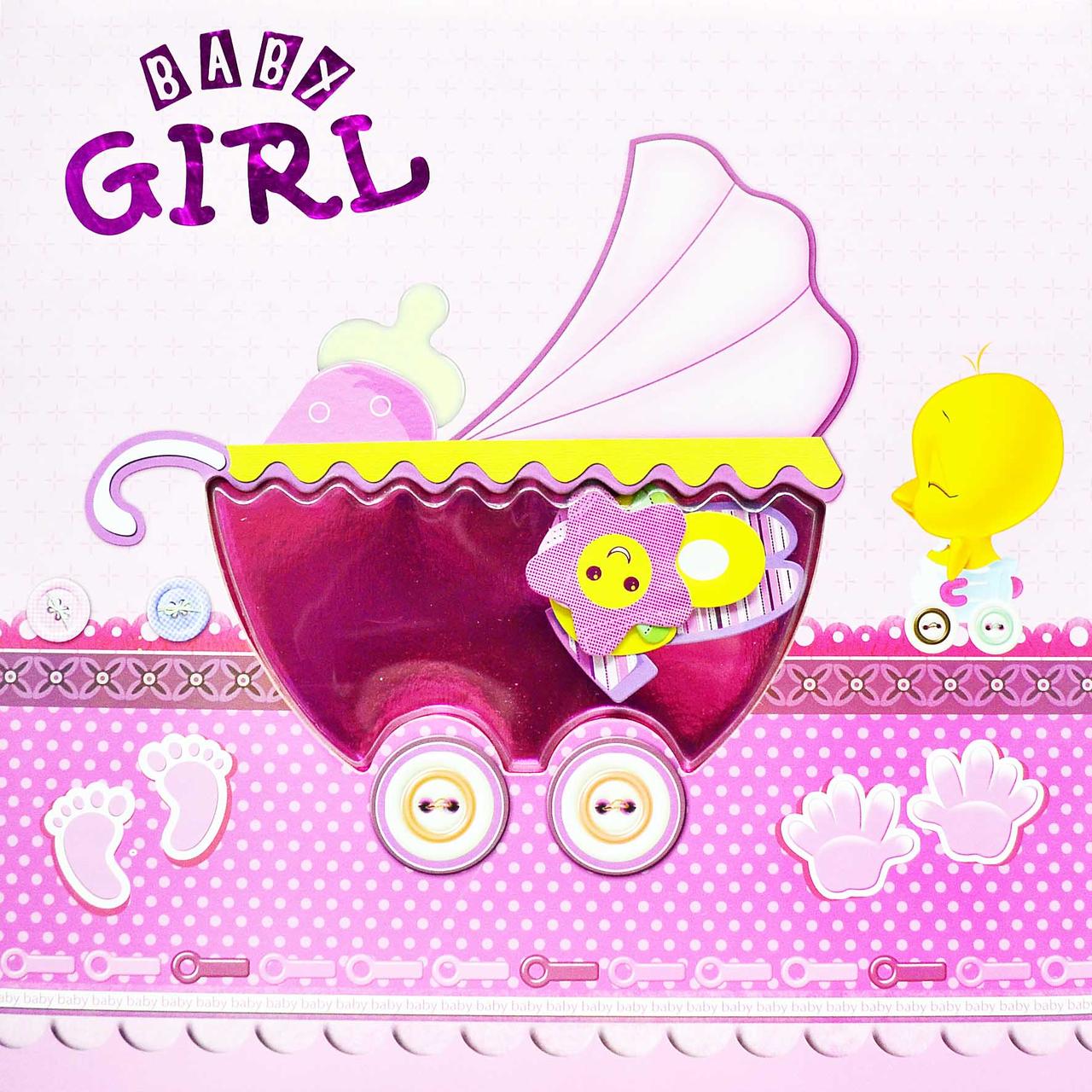 Фотоальбом с Анкетой "BABY-GIRL в коляске" 300 фото (детский альбом для новорожденного, место для отпечатков) - фото 1 - id-p1055530964