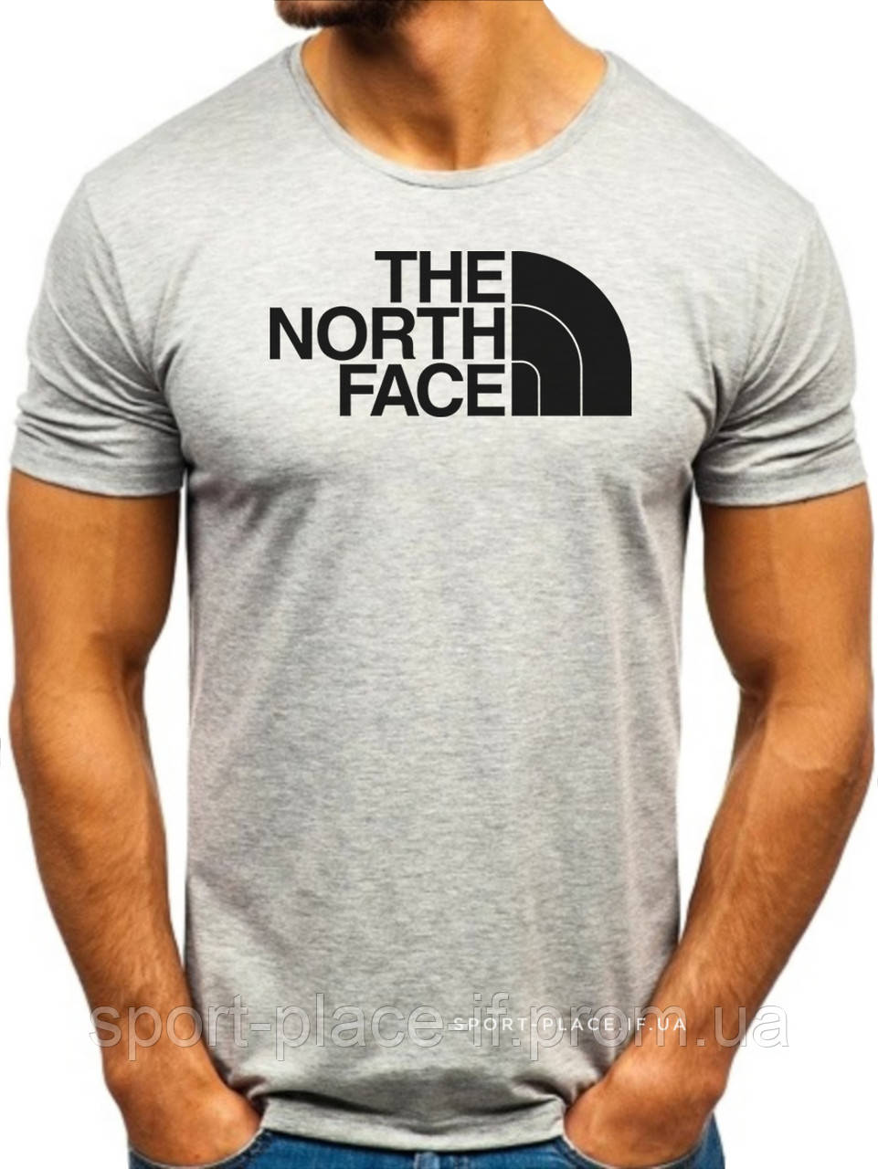 Чоловіча футболка The North Face (Норс Фейс) сіра (велика емблема) бавовна