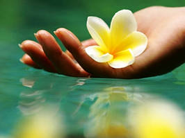 Подарунки для КРАСИ і ЗДОРОВ'Я