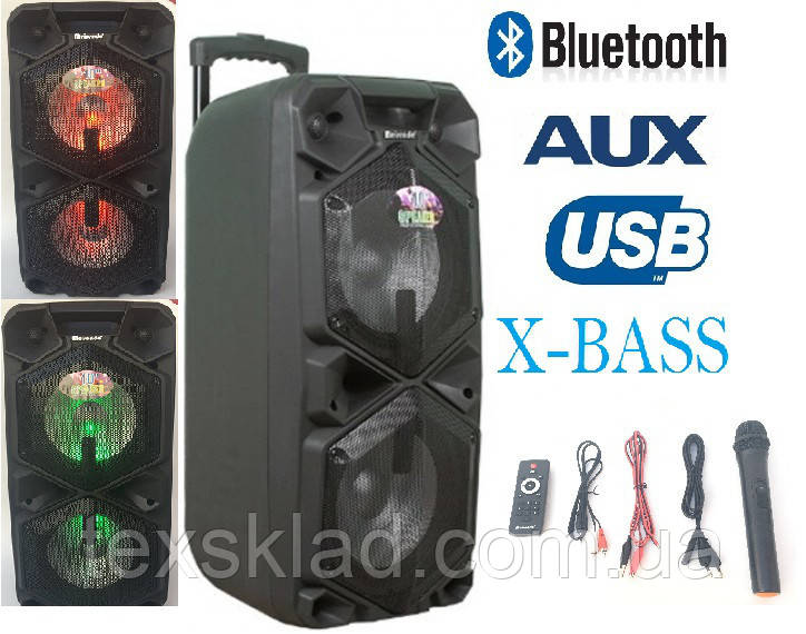 Колонка акумуляторна з мікрофоном RB-1010B 200 W X-BASS (TWS/Bluetooth/USB/FM)