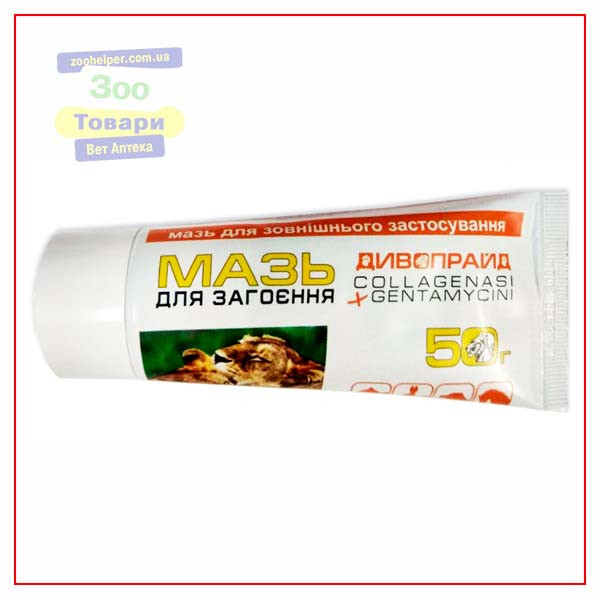 Мазь для загоєння, 50 г (Дівопрайд)