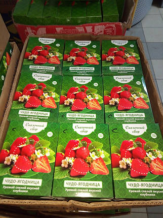 Чудо-ягідниця Казковий збір - набір для вирощування полуниці на підвіконні, фото 2
