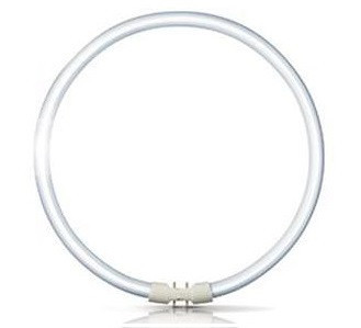 Лампа Philips MASTER TL5 Circular 60W/830 1CT/10