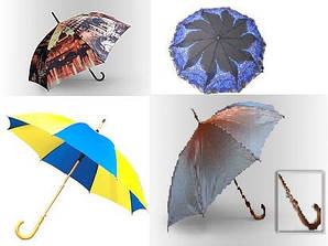 Парасольки і дощовики