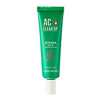 Бальзам проти плям постакне Etude House AC Clean Up After Balm 20 мл