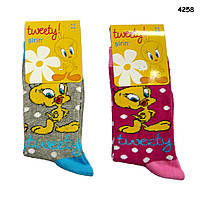Шкарпетки "Курча" для дівчинки. р. 26-29