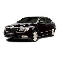 Зимние накладки Skoda Superb 2009-2015 гг.