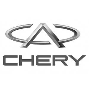 Автомобільні килимки для Chery