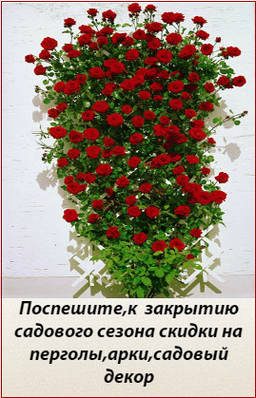Сезонні знижки