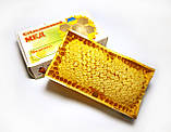 Стільниковий мед — мініменева рамка 200 грамів, фото 2