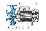 Фланцевий насос F4-100/200A Pedrollo (1500 об/хв), фото 5