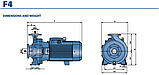 Фланцевий насос F4-100/200A Pedrollo (1500 об/хв), фото 7