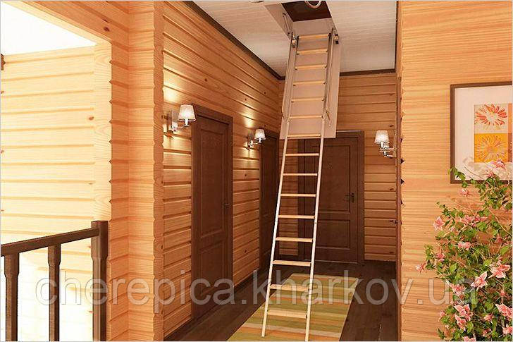 Горищні сходи Bukwood Luxe Long 110х60, 110х70, 110х80, 110х90, 120х60, 120х70, 130х60, 130х70