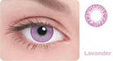Контактні лінзи Adria Festival 1 Tone, фото 4