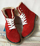 Суперскіткі зимові жіночі чоботи Tima черевики на шнурках теплі замшеві червоні низький хід, фото 4