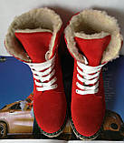 Суперскіткі зимові жіночі чоботи Tima черевики на шнурках теплі замшеві червоні низький хід, фото 8