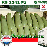 Кабачок кущовий дуже ранній KS 1241 F1, 250 насіння, ТМ Kitano Seeds