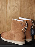 Зимові черевики уги ugg m classic toggle, фото 3