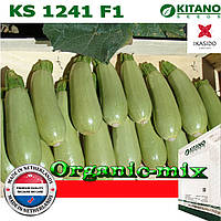 Кабачок кущовий дуже ранній KS 1241 F1, 1000 насіння, ТМ Kitano Seeds