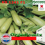 Кабачок кущовий дуже ранній KS 1241 F1, 1000 насіння, ТМ Kitano Seeds, фото 2