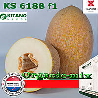 Диня Кубус F1 (КЅ 6188) рання 1000 насіння ТМ Kitano Seeds