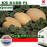 Диня Кубус F1 (КЅ 6188) рання 1000 насінин, ТМ Kitano Seeds, фото 3