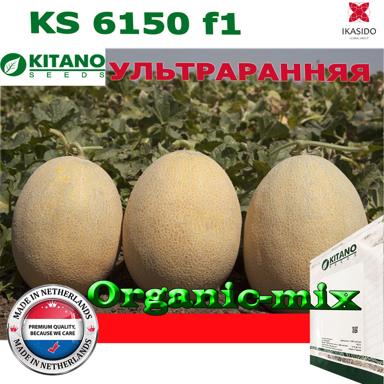 Насіння, диня дуже рівча КS 6150, 100 насіння, ТМ Kitano Seeds